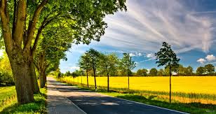 نمونه کار دندانپزشکی