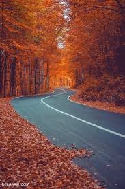 نمونه کار دندانپزشکی